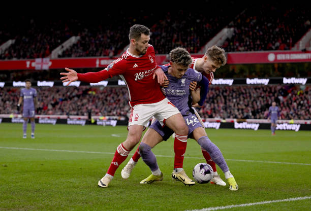 科瓦契奇自 科瓦契奇自