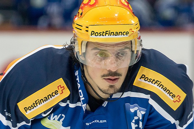 迫使新鹏城 迫使新鹏城