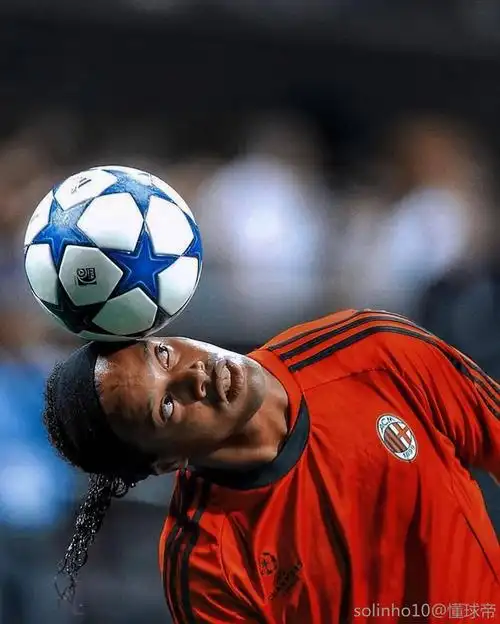 的开门红 的开门红